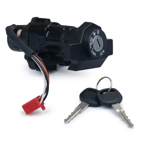 Platina 110 DB Ignition Lock